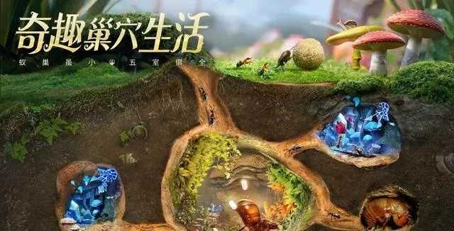小小蚁国