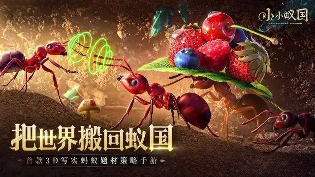 小小蚁国