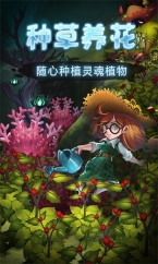 灵魂岛图4