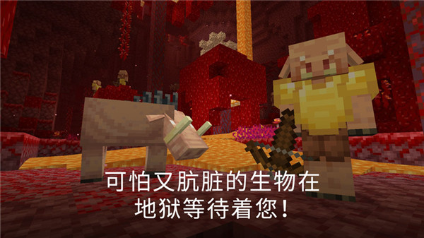 我的世界PE版