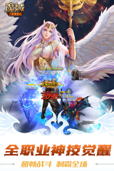 魔域vivo版(4)