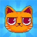 惊慌的猫游戏正式版