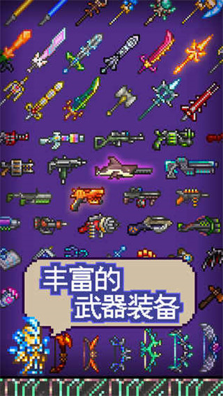 泰拉瑞亚图2