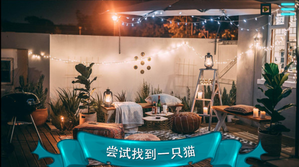 寻找猫图1