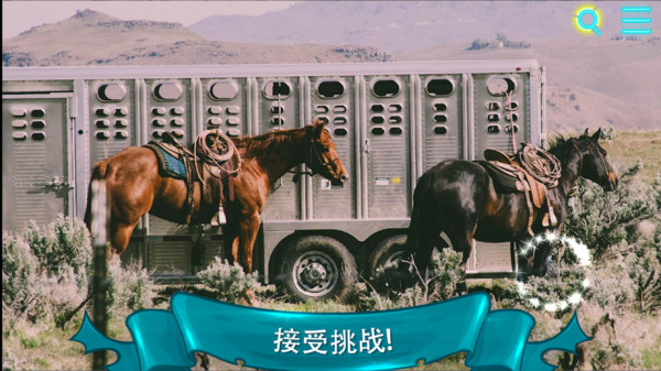 寻找猫图2
