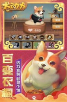 犬动力(3)