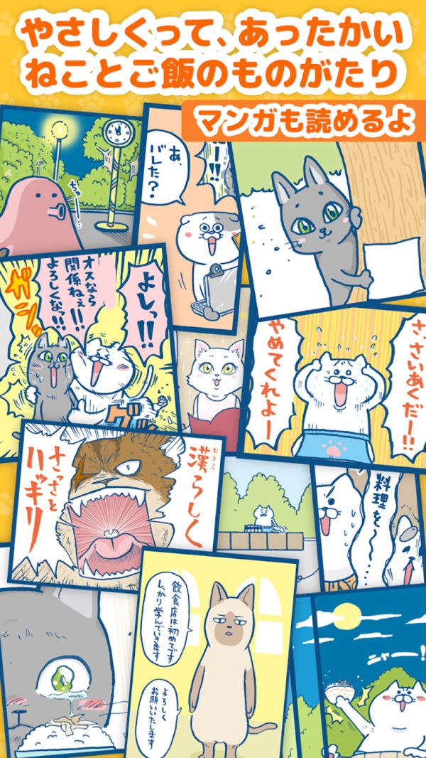 全民猫屋官方安卓版图3