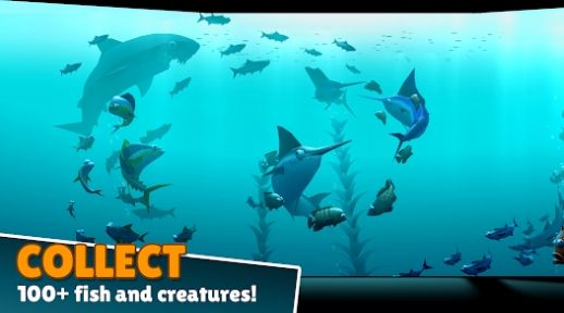 深海创造中文版安装（creatures of the deep）图2