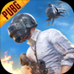 pubgmoblle国际版V0.14.0官方最新版