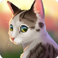 猫咪救援故事手机版