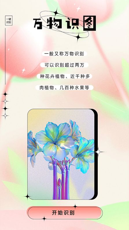 万物识图大师免费 图1