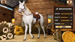 骑马赛马(Horse Riding)