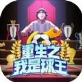重生之我是球王 
