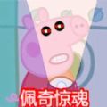坚守防线小猪佩奇惊魂记中文版