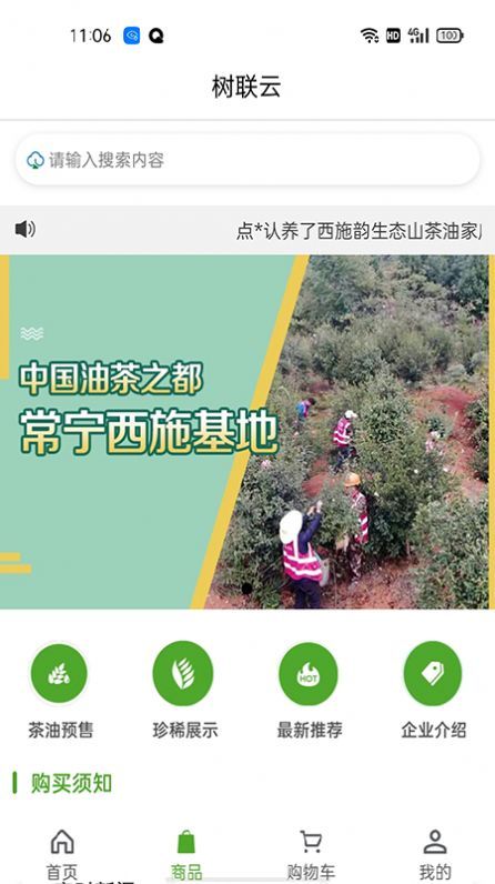 树联云网 图1