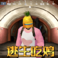 菠萝头吃鸡安卓版