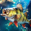 欢乐钓鱼大师最新版