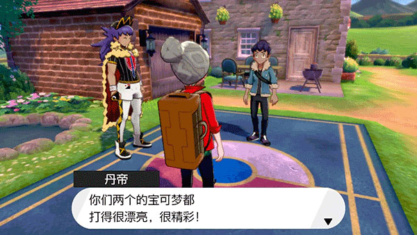 口袋妖怪剑盾汉化版图1