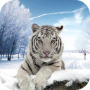 北极虎模拟器