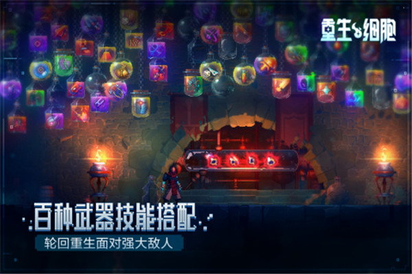 重生细胞bilibili版图2