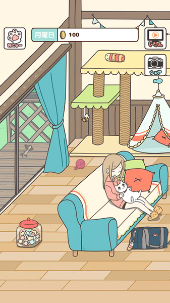 猫咪饲养日常版 v1.0.1 正版图1