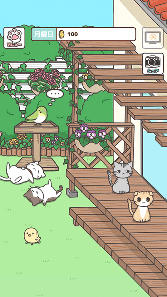 猫咪饲养日常版 v1.0.1 正版图4