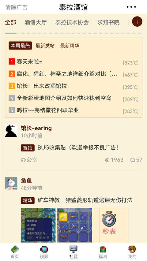 泰拉酒馆图4