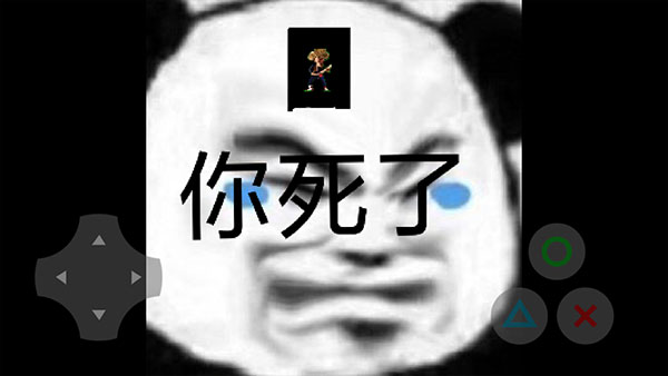 熊熊精英(5)