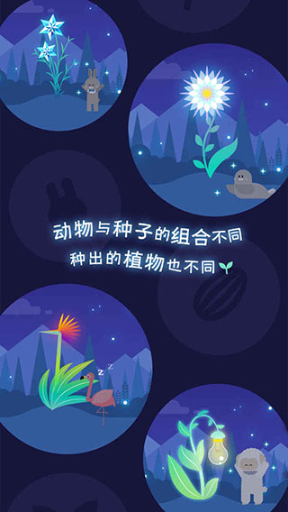 夜之森最新版(2)
