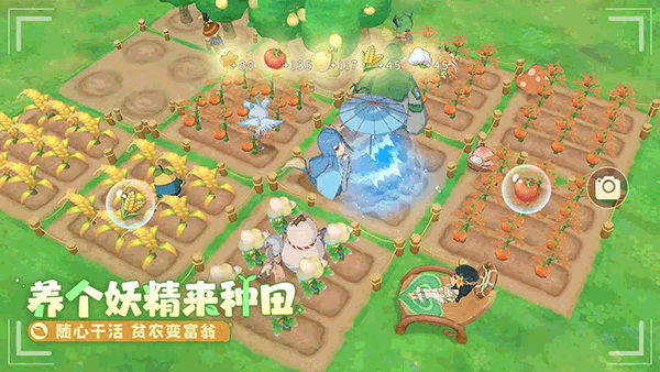 织梦森林小米版图5