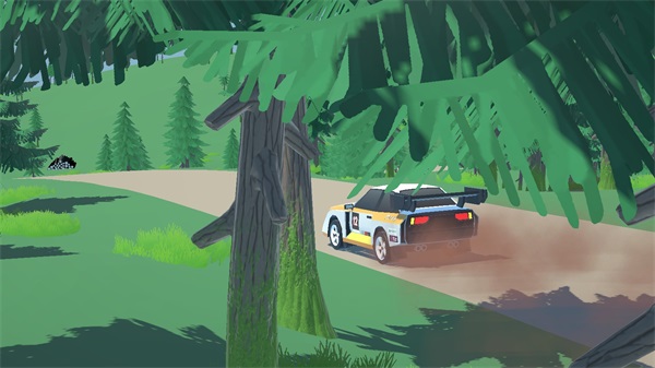 n3拉力赛(N3Rally)2