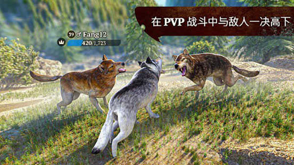 狼族中文版(The Wolf)圖3