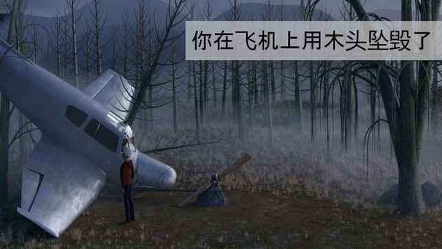 迷失森林(4)