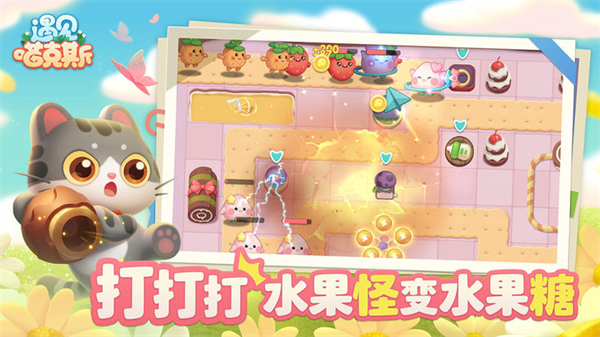 遇见喵克斯(3)