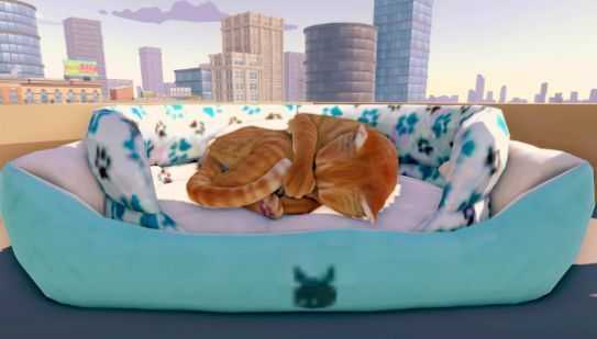 猫咪历险记大都市(2)