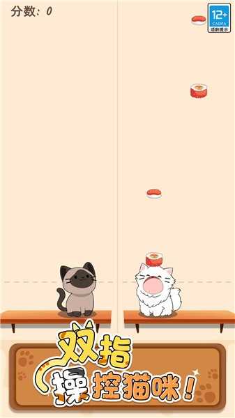 猫咪二重奏免费版(4)