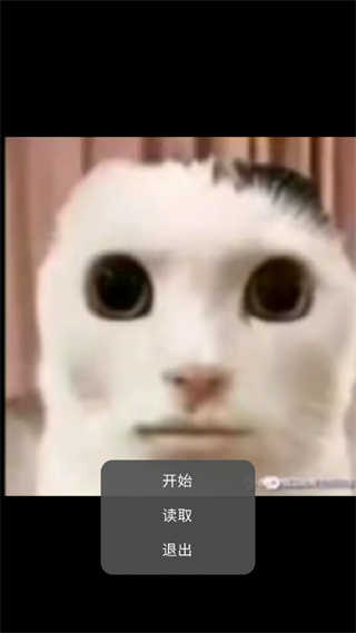 猫猫惊魂图4