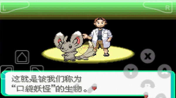 口袋妖怪漆黑的魅影6.0无限洁白图4