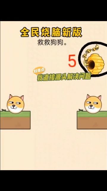 救救狗狗蜜蜂无广告图1