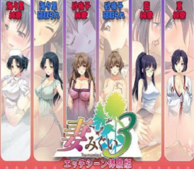 妻中蜜3汉化版图2