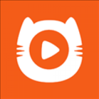 皮影猫