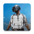 pubg日韩服