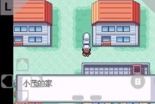 口袋妖怪火红手机版图2