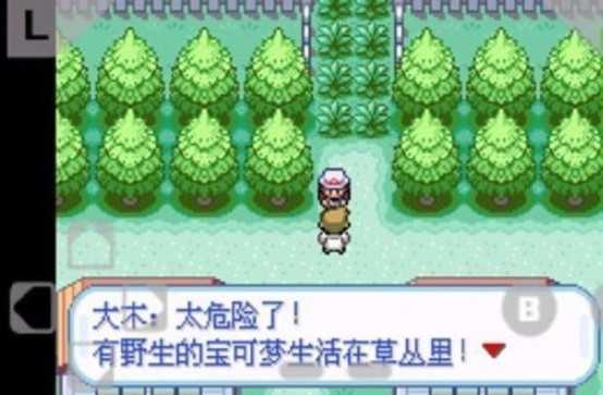 口袋妖怪火红手机版图3