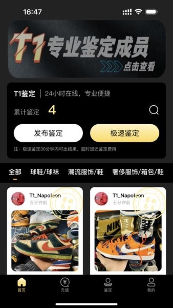 鉴定师轻量版图2