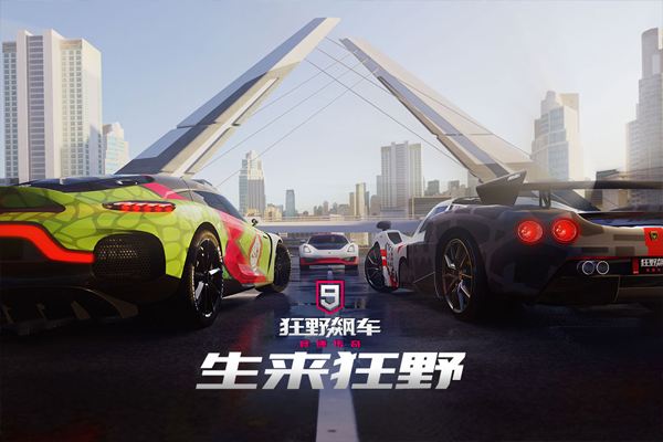 狂野飙车9图1