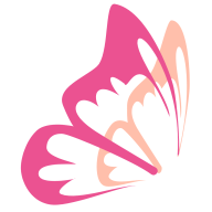 花蝶浏览器安卓版