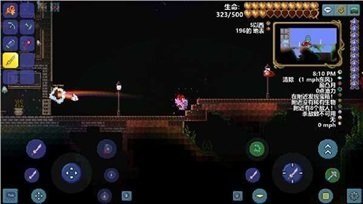 泰拉瑞亚1.4.4.9汉化版2025图2