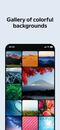 俄罗斯引擎浏览器app图2
