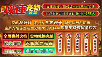 狂虎攻速宠物神器图1